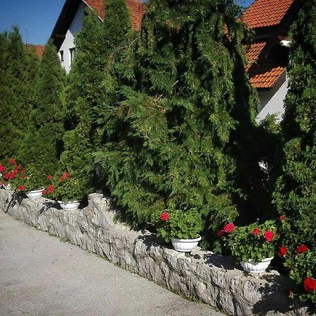 Bozovic Mv Apartments Zlatibor Exterior foto