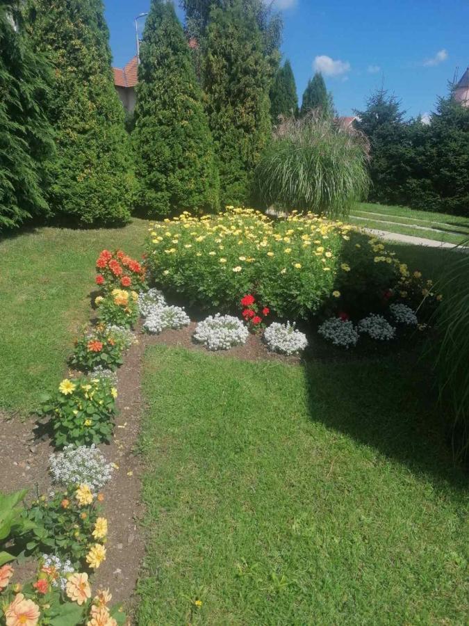 Bozovic Mv Apartments Zlatibor Exterior foto