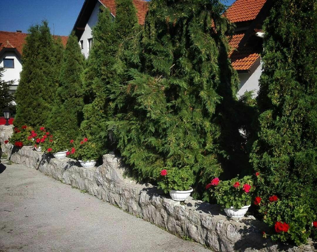 Bozovic Mv Apartments Zlatibor Exterior foto